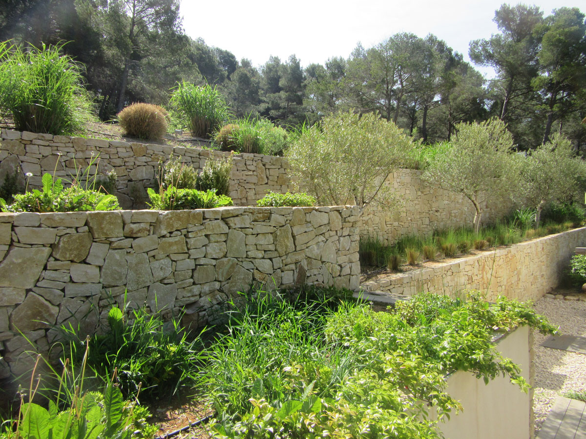 jardin paysagé par sud créations paysages