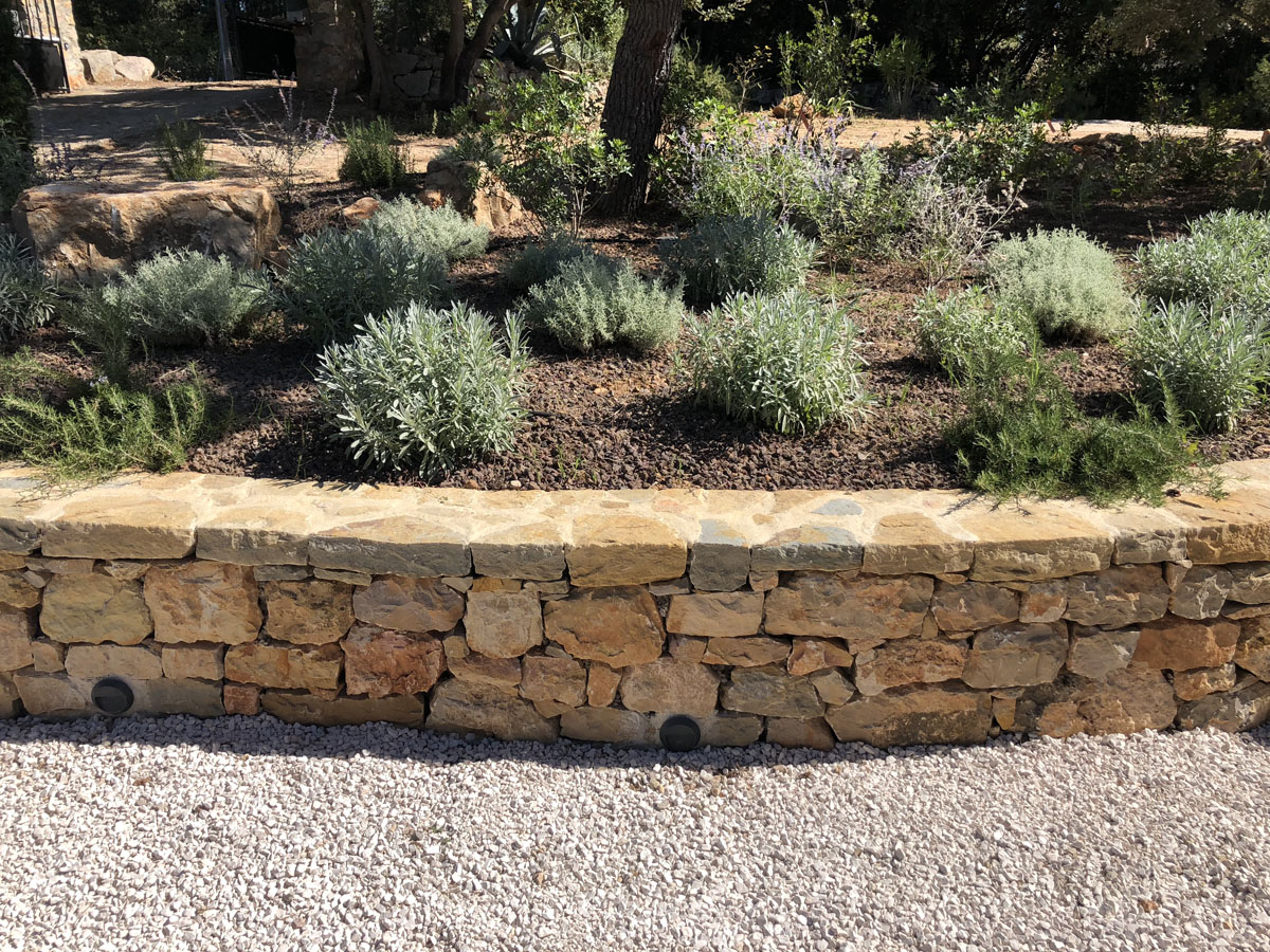 Entretient de jardin par sud créations paysages