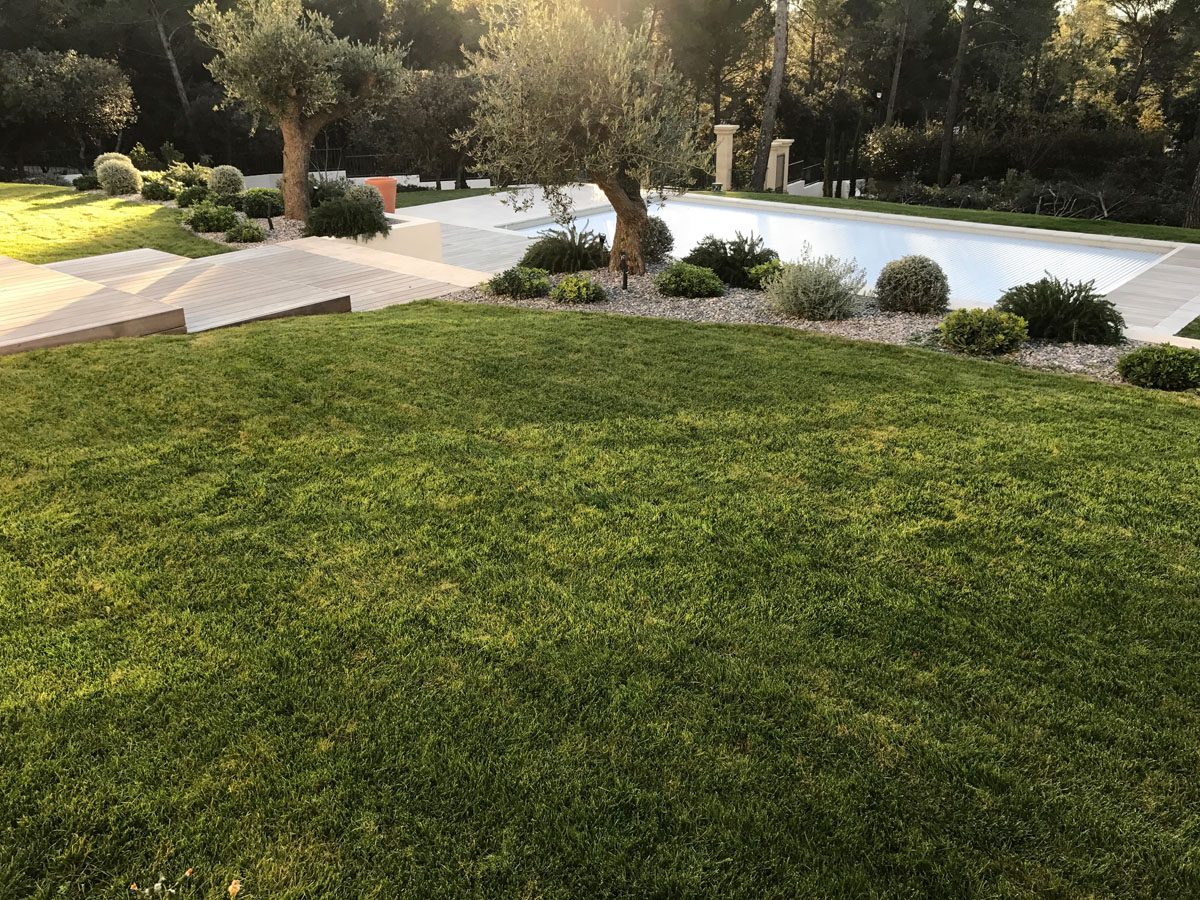 aménagement de jardin avec piscine