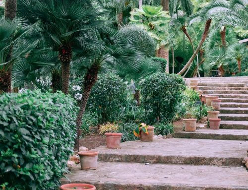 SudCréations-paysages Redéfinit l’Élégance avec une Allée et un Escalier en Dalles de Pierre à Aix-en-Provence