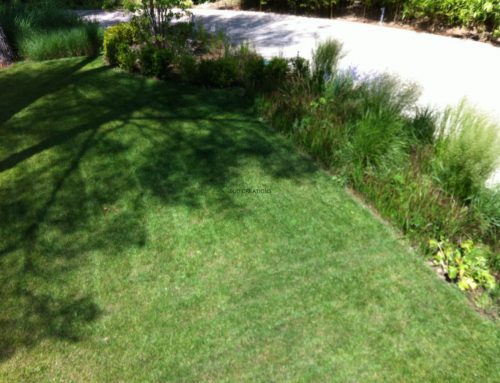 Entretien de jardin à La Ciotat