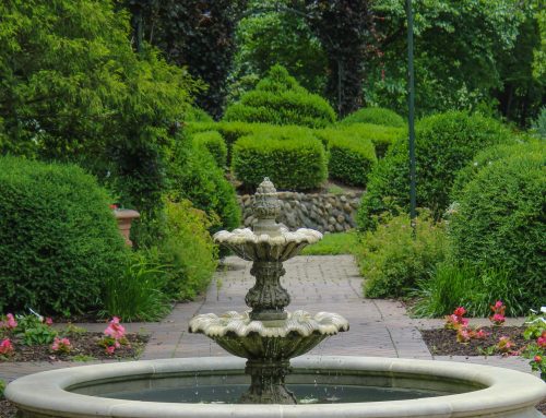 Votre Partenaire de Confiance pour l’Entretien de Jardin à Bandol