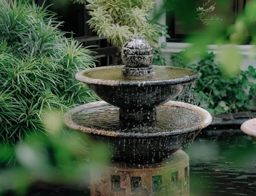 SudCréations-Paysages réalise un Entretien de Jardin Exemplaire à Gémenos