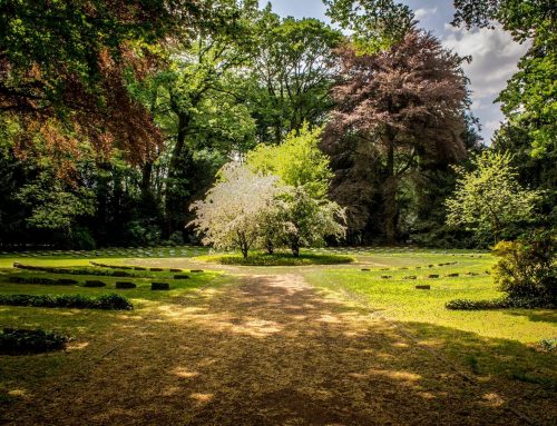 L’Éclat Renouvelé d’un Jardin à Fuveau