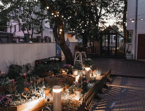 Aménagement de jardin à Aubagne